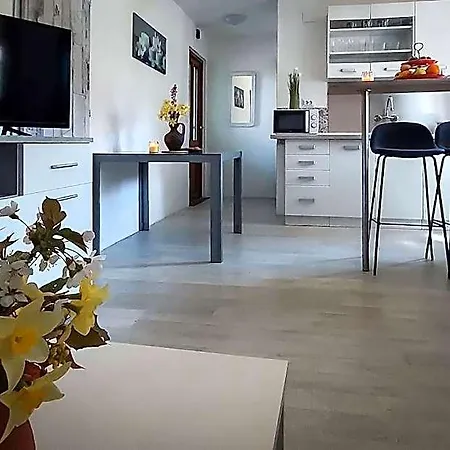 Poolside Compact Family Lea Rovinj